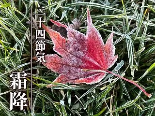 【生活】霜降