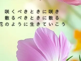 ココロのトリセツ