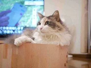 捨て時に悩む。（でも捨てよう）