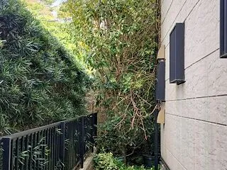 今日は片付け頑張りましたっ