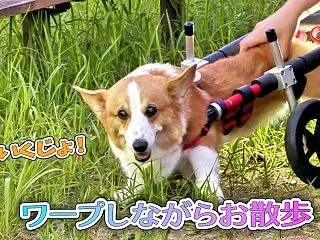 ワープしながら