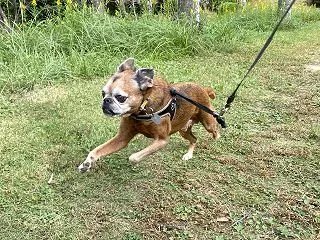 ずっと上りの公園ってないかなぁ(笑)から…