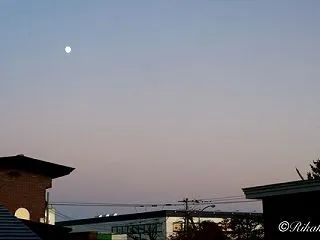 29年。