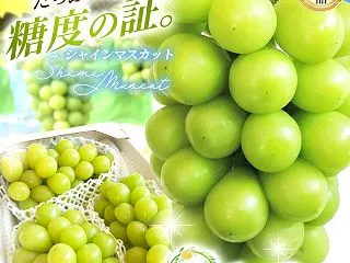 【ふるさと納税】 ぶどう シャイン マス…