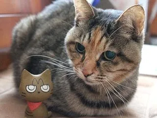 みるくの命日＋ギャラリー猫町のお知らせ