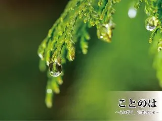 一つの言葉に、一つの思いを。――『一言一…
