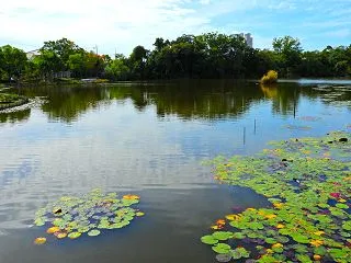 23.3℃、晴れで雲の流れる良い天気でし…