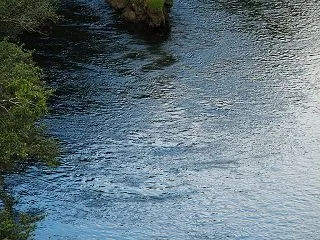 川面に映る空
