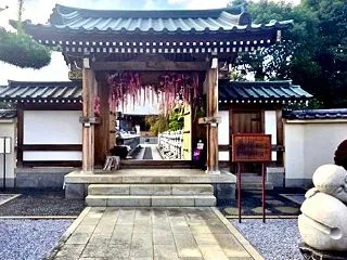 川越の花手水発祥の寺院と猫寺