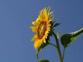 ことばの凶器