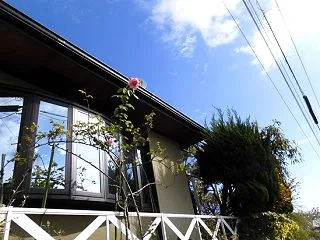 2026 思いがけない贈り物