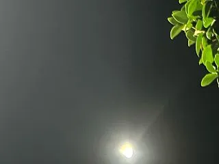▶︎「欠けていても」美しく想うココロ。