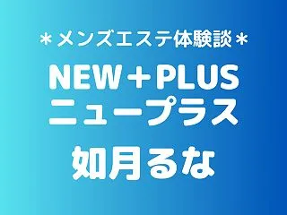 ニュープラス「如月るな」の秋葉原・新橋メ…