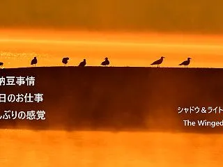 久しぶりの感覚は彼不足？