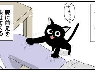 賢さに気付くと愛しさ倍増する