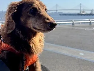連休中の横浜旅