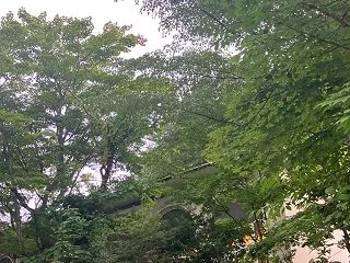 軽井沢５４ 万平ホテル ジョンレノンが弾…