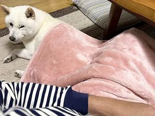 気温の上がり下がりが