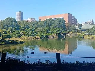 【紅葉めぐりスタンプラリー】清澄庭園と向…
