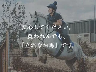 ラルフローレンが買取不可？本物でも売れな…