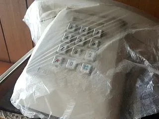 プッシュホン