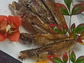 土作りにこだわったmyトマトがうまいっ！