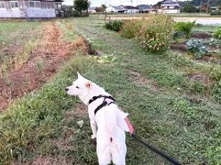 26/10/23（金）【おかあさん 半年…