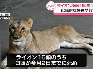 【回答データの公開※9月末時点】全国の動…