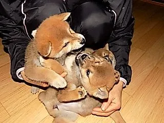 パワー頂いています。