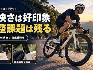 ICAN Triaero Flyeeレビ…