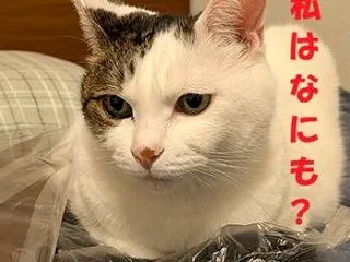 事件は現場で起きていた