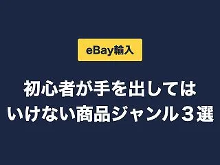 【eBay輸入】初心者が手を出してはいけ…