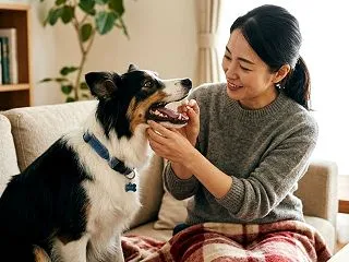 ボーダーコリーがなりやすい病気は？健康管…