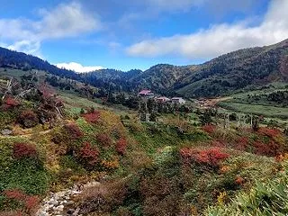 おっさん秋の高山を舐めて苦悶する 白山 …