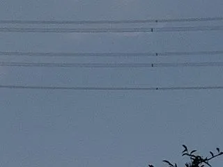 第6496号 十三夜・・・