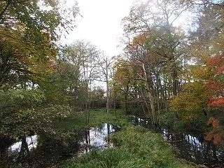 千歳市内の野鳥(2026/10/23)
