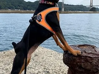 ご褒美かもしれない