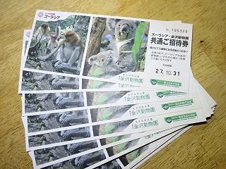 これは、クーちゃんの手柄ではありません