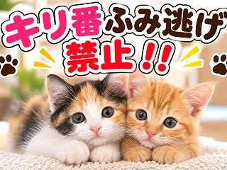 ジオシティーズ民あかさか。