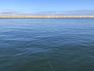 釣りへ行く。そして大物かかる。