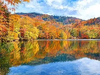 蔦沼（青森県十和田市）｜紅葉の絶景から蔦…