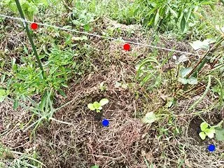 隠せるものなら...