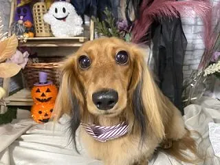 台風直撃！？