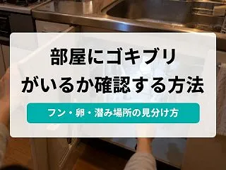 部屋にゴキブリがいるか確かめる方法｜見逃…