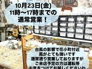 金曜日は通常営業！