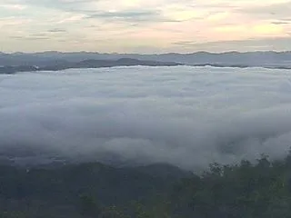 低めの霧の海
