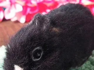 鼻白さんのリラックスポーズ