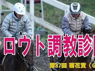 シロウト調教診断（菊花賞 G1）