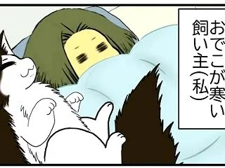 【猫との暮らし】もふもふともふもふの間に
