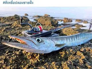 続⭐︎หาดยินยอมハートインヨムビ…